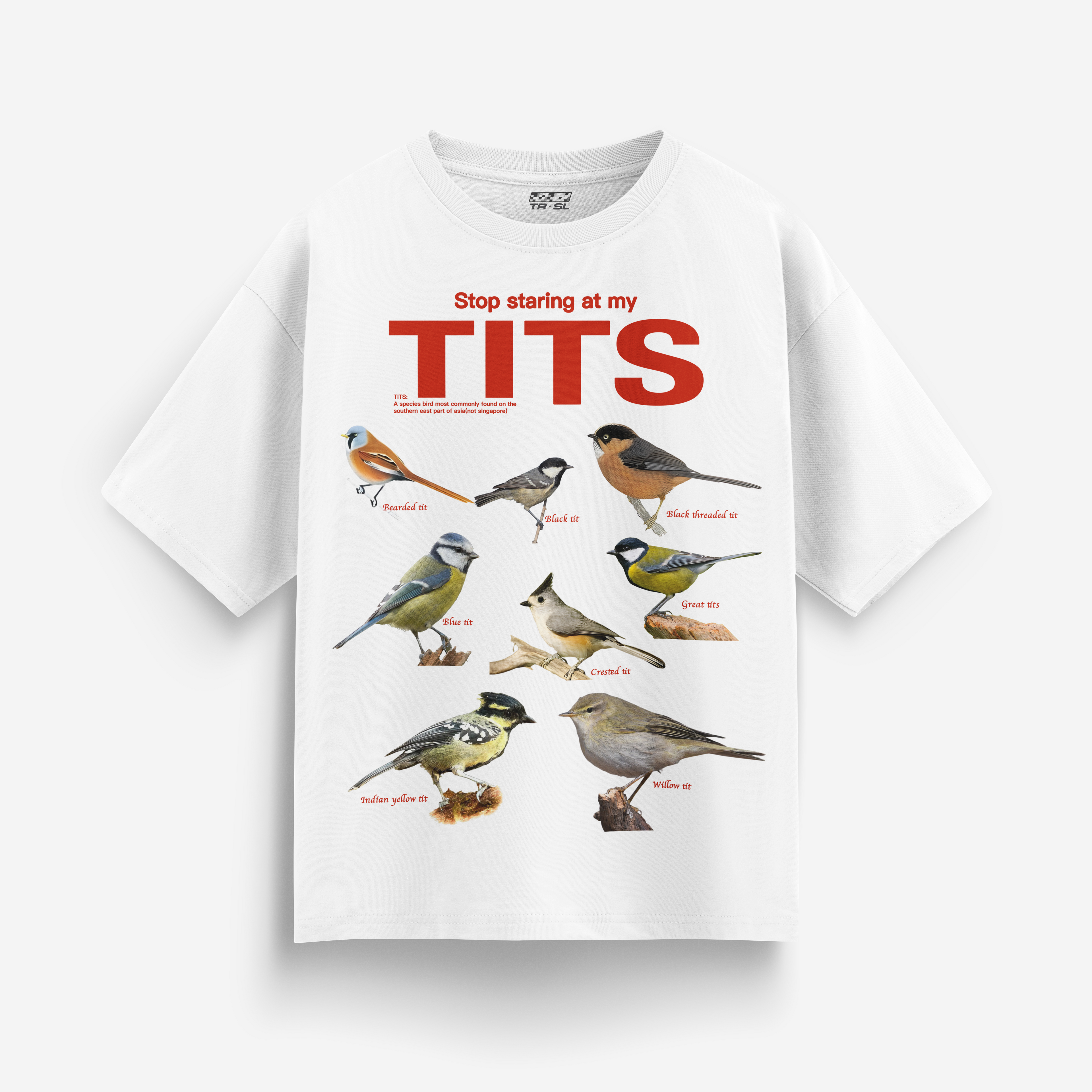 TITS Oversized Tee